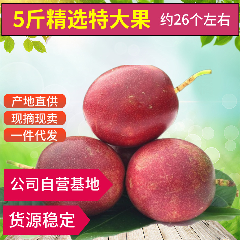 广西新鲜水果高山百香果鸡蛋果西番莲产地直供5斤3斤批发一件代发