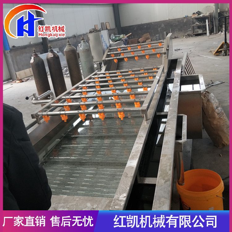 供应全自动果蔬清洗机 厂家供应 不锈钢菠菜清洗机 淋喷式清洗机