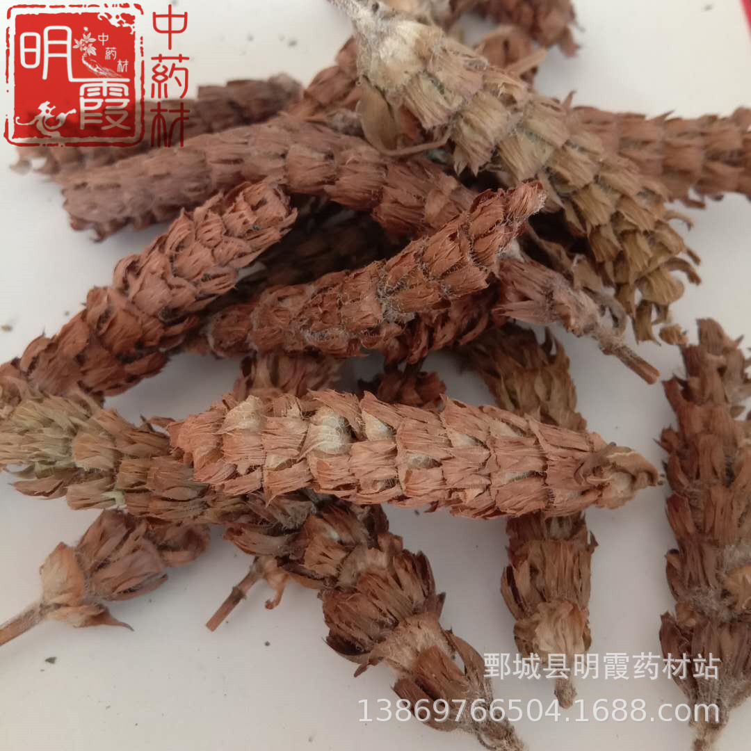 明霞药材 批发零售供应【夏枯球】1000克 批发中药材