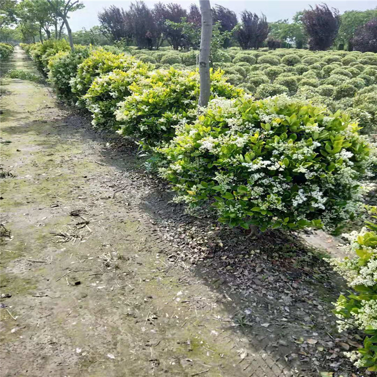 微信图片_20190924001110