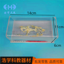 �ܹ����˱�J43108 �ЌW����̌Wģ�� ���ս̌W���� �̌W�x��