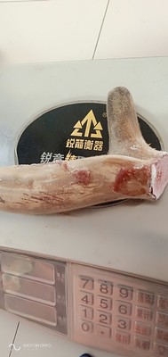 梅花鹿小克鹿茸。