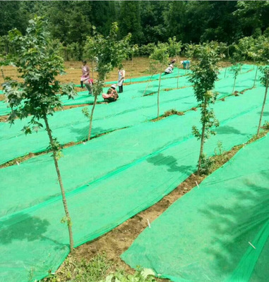 无纺布工程专用草绿色无纺布保湿盖土专用布