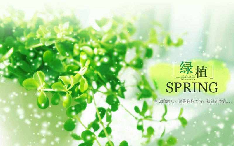 TB2yiQIBSBYBeNjy0FeXXbnmFXa_!!