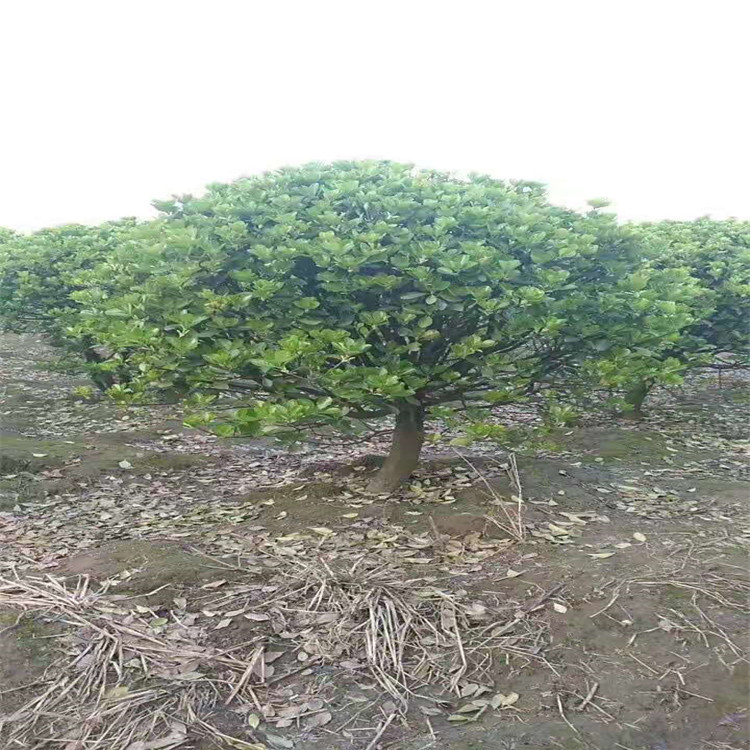 微信图片_20190924001101