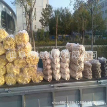 面粉食品膨化机 两相电五谷杂粮粉加工双螺杆米花机 大米膨化设备