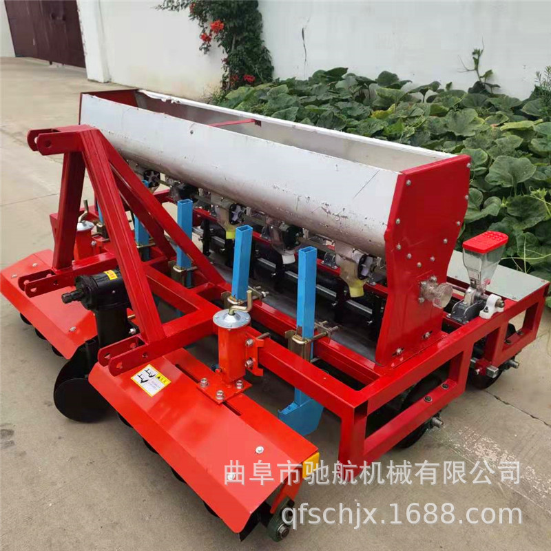 辣椒种子图片 海量高清辣椒种子图片大全 阿里巴巴