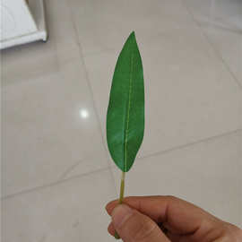 叶子植物叶子桉树叶 单片小叶子 柳叶剑兰叶 叶子花叶 编织袋布料