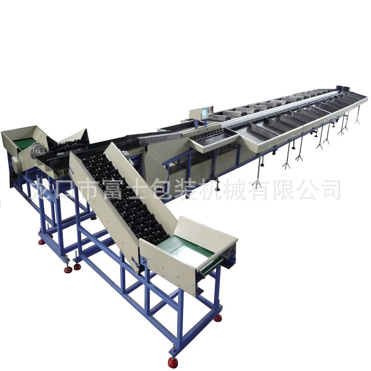 富士牌火龙果选果机 芒果选果机 ce认证 质量可靠【厂家供应】