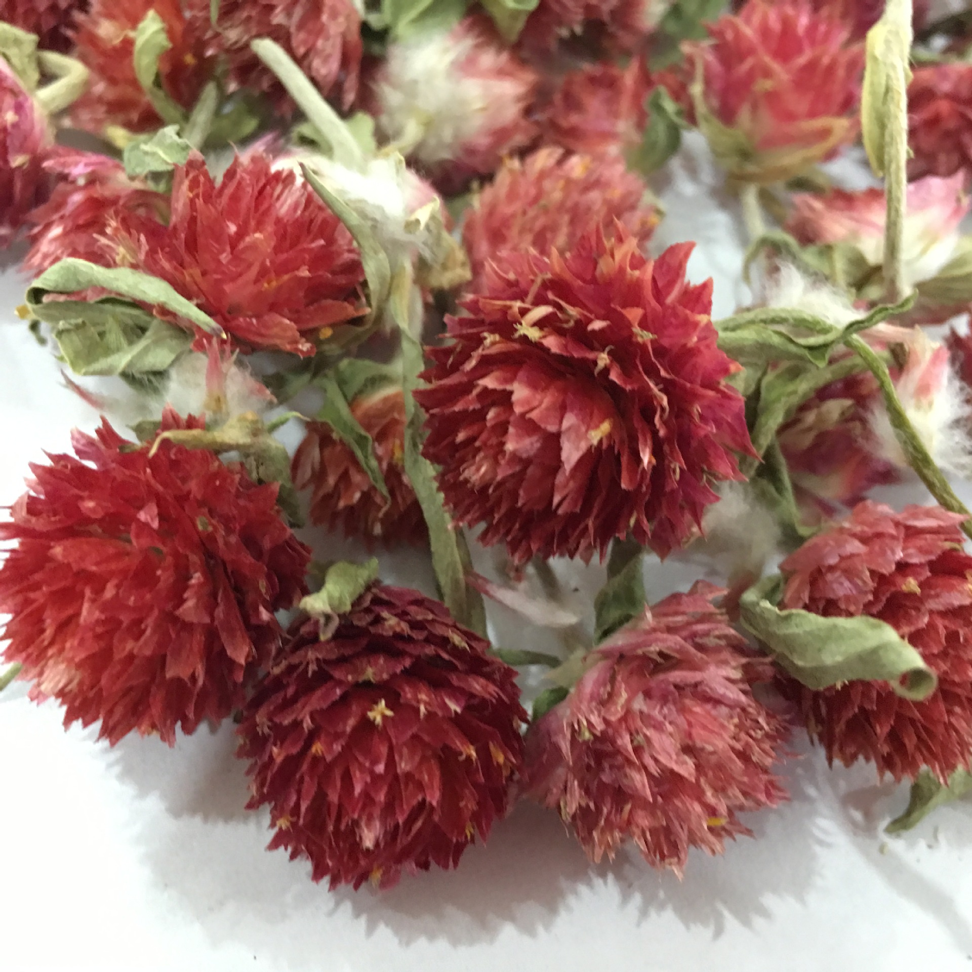 Dried Red Plum Blossom Flower Heads Hong Qiao Mei Loose Herbal Tea and Decorative Dried Flowers 500g quality and texture