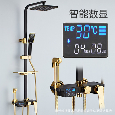 数显花洒全铜黑金白金淋浴花洒套装浴室卫生间家用增压妇洗器喷头|ms