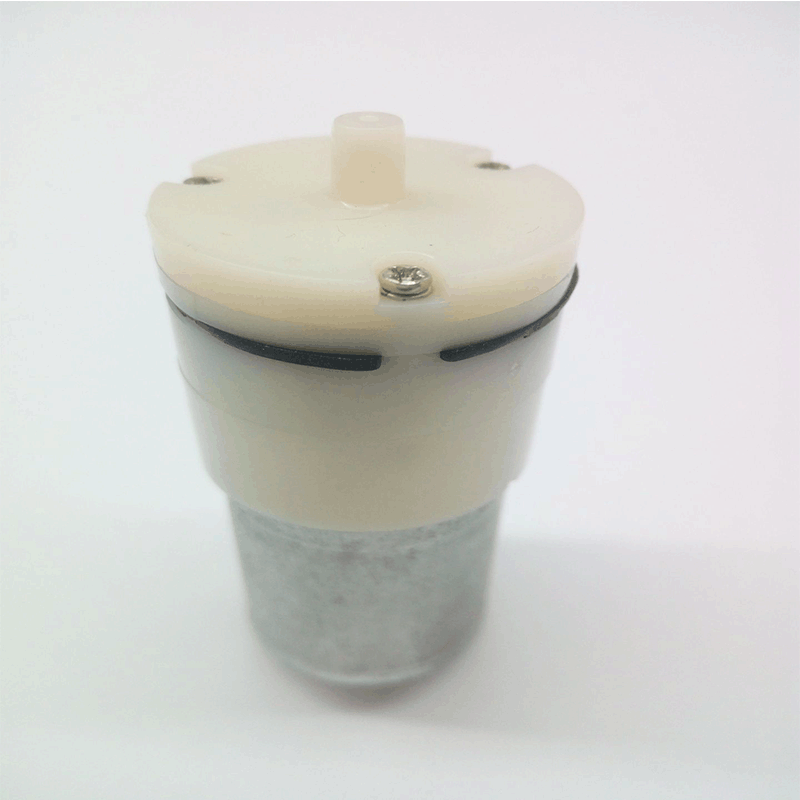 小型迷妳電動微型充氣增壓氣泵耐磨增氧直立增壓泵電動氣體隔膜泵