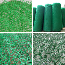 �o��ֲ�݈@�־G�����Sֲ���W��ƺ�Gɫ��·�o��ֲ�ݹ��ط��m���w