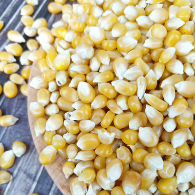 爆花玉米粒 爆米花专用原料 生小玉米粒爆五谷杂粮真空包装500g