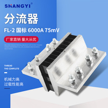 Shunt  FL-26000A75mV⸽ External shunt 0.5i~