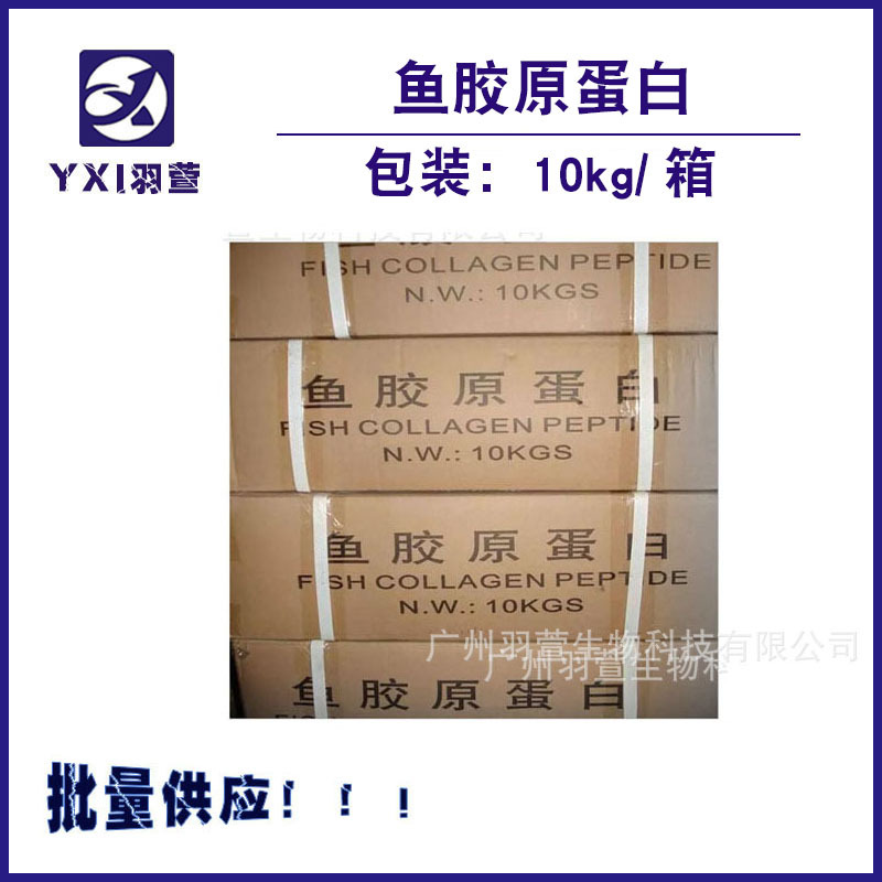 优势批量供应鱼胶原蛋白粉  保湿抗皱 营养亮肤  润滑皮肤