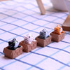 Transport, doll, jewelry, kitten, cat, micro landscape