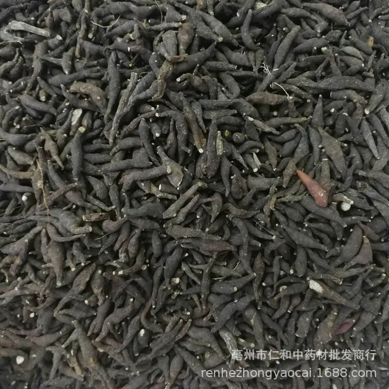Dried Liang Tou Jian Root 500g Traditional Chinese Herb for Decoction and Herbal Soup overview