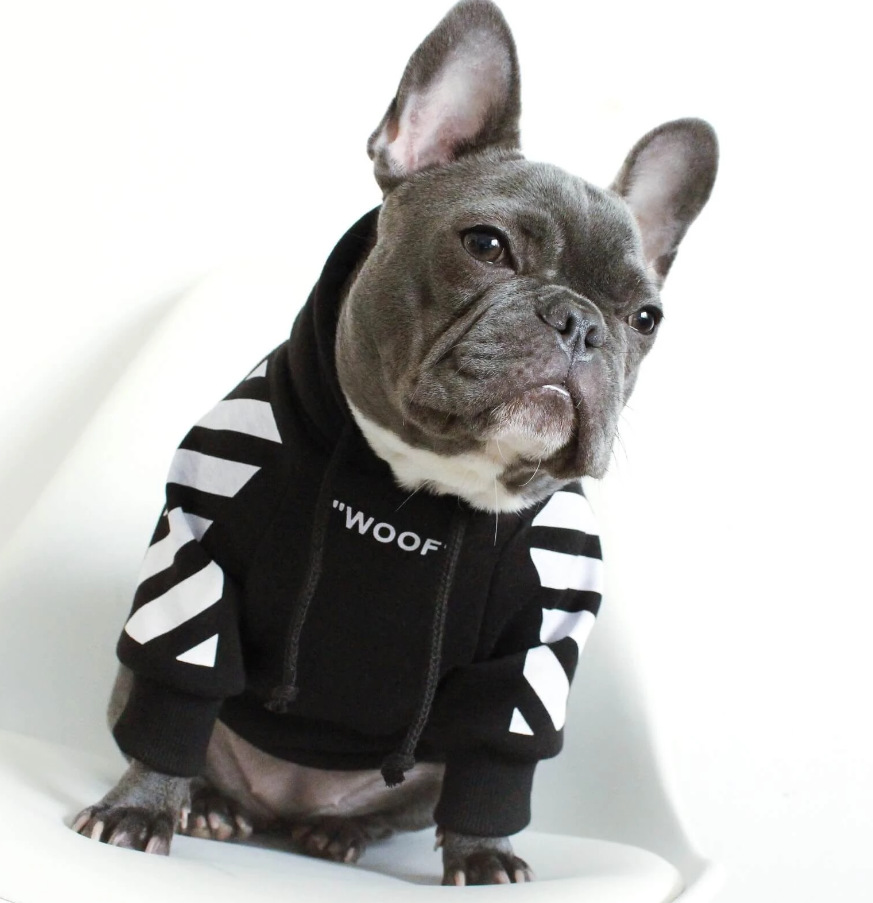 Corgi Schnauzer Ruifou Pet Tide Brand Ins Explosion Dog Sweater Spoof Autumn And Winter Sports Dog Clothes
