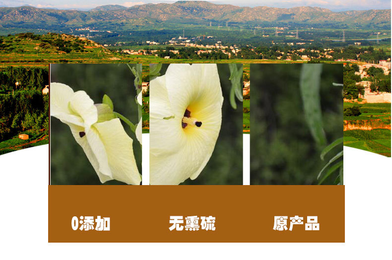 Huang Shu Kui Hua (Abelmoschus manihot) — Dried Sulfur-Free Food Herb Flowers, 500g quality and texture