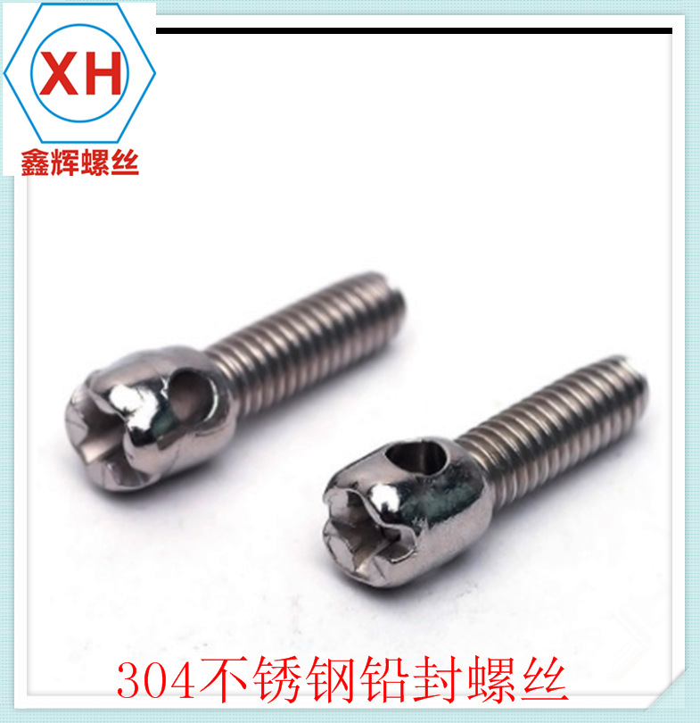 不锈钢304铅封螺丝 封表螺钉 带孔螺丝 电表螺丝 M4