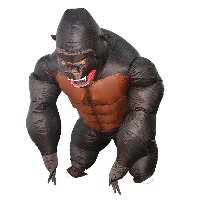 金刚9.jpg
