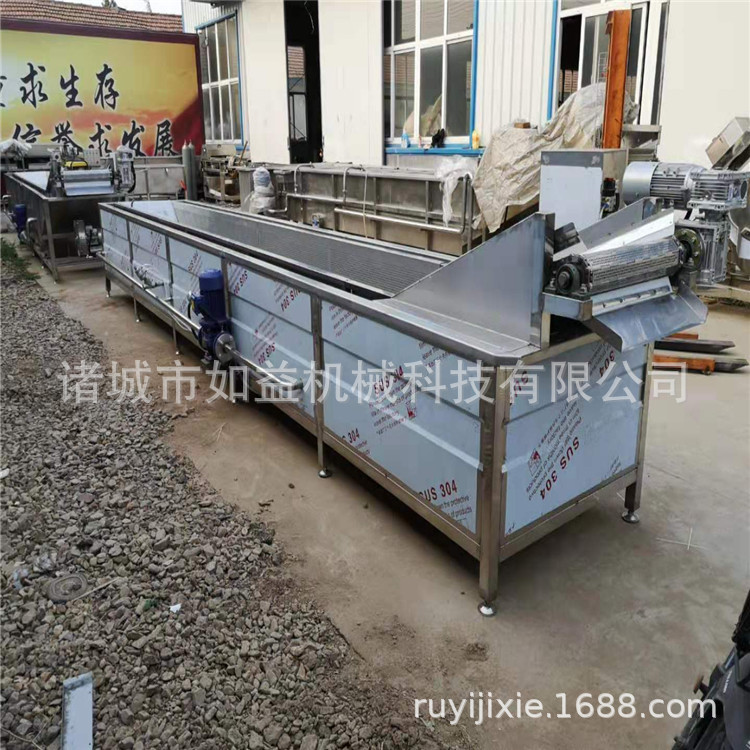 直销喷淋新鲜果蔬清洗机 无破损桑叶气泡清洗机 如益高压喷淋洗菜