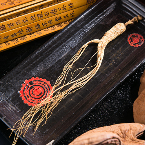 Jilin Specialty - Changbai Mountain Ginseng - Underground Ginseng - Shengbo Ginseng Industry Wholesale - Gift Box Ginseng - Agent Recruitment - One Piece Delivery