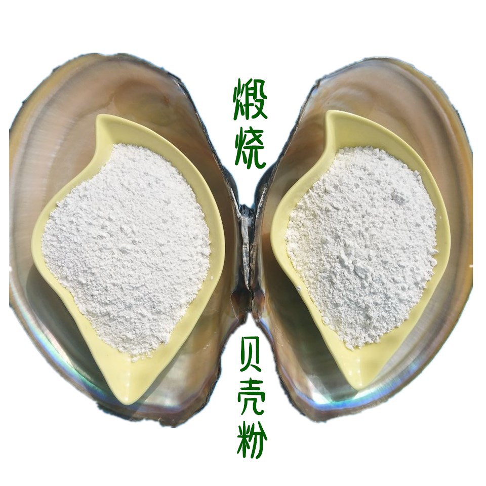 现货供应煅烧贝壳粉 饲料添加用贝壳粉1250目量大从优