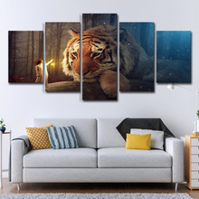 �羳wish �羳5�堝ˇ�g�b� ���  Ů�� ɭ��  ���\  �ϻ�