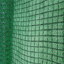 �Ϻ��S��ֱ�N�o�¹����@�־G�����ӵ؝񏊶����Sֲ���W