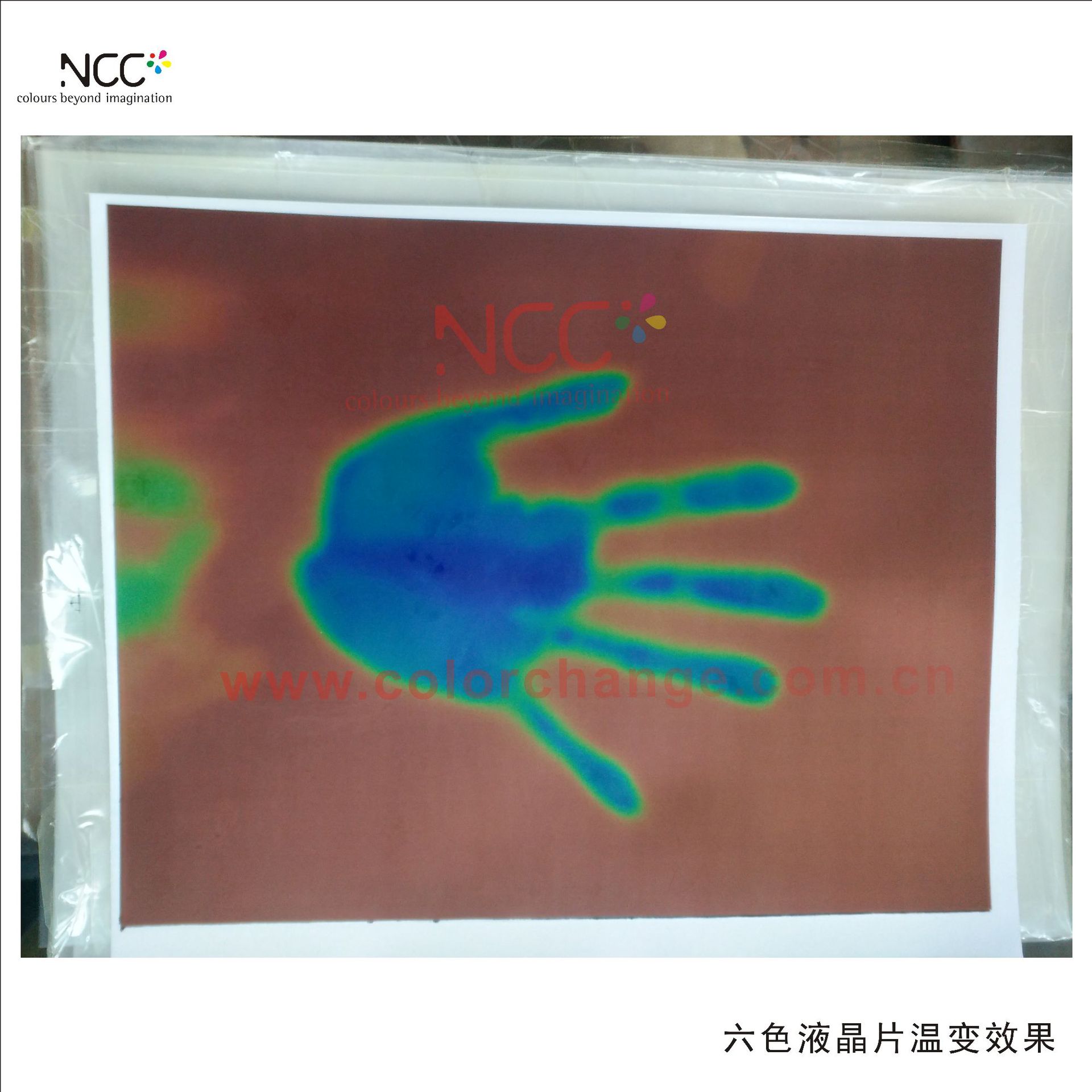 变色灵敏六色液晶温度片变色温度片供应感温液晶温度片