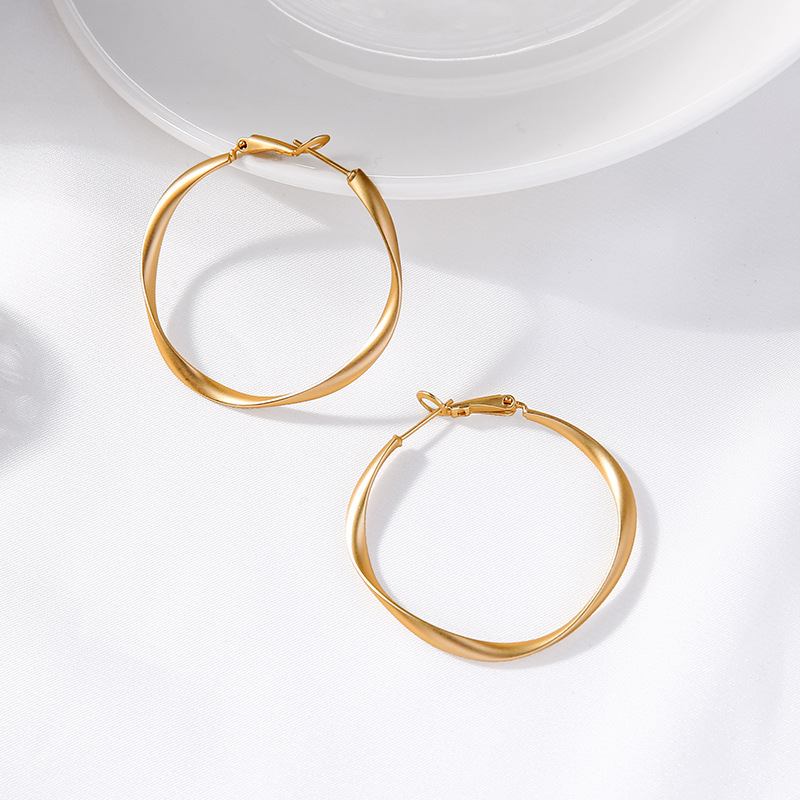 Alloy Earrings Fashion Simple Geometric Earrings Hoop Earrings Women display picture 2