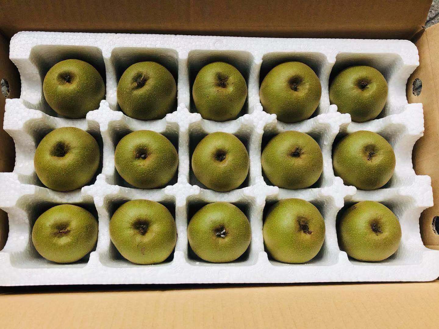 微信图片_20190809091029