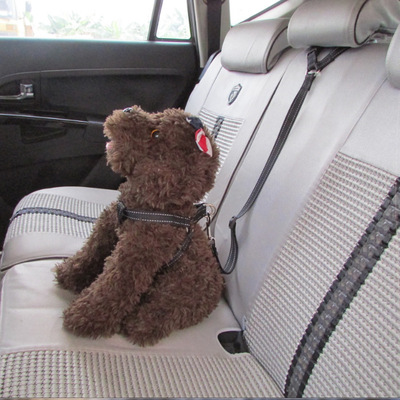 Shenzhen Yiwu Pets Supplies Manufactor Direct selling vehicle nylon Backseat Safety belt nylon Foreign trade goods in stock