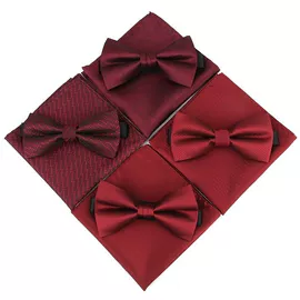 领结/领花;领带;胸针