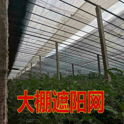 农用温室大棚蔬菜黑色遮阳网降温隔热平织遮阳率75%抗老化抗晒PE|ms