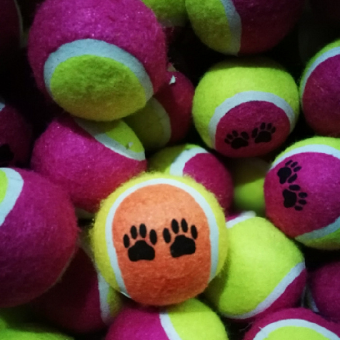 QQ图片20181210205557