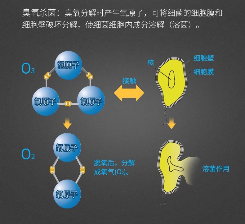 微信图片_20190809085536