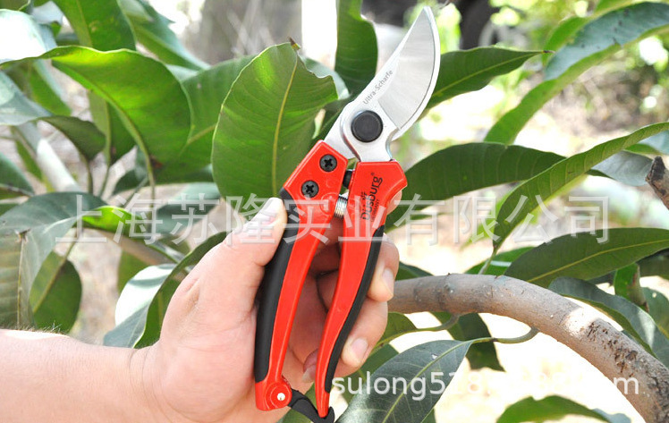 德国德狮宝012修枝剪刀园林粗枝剪刀花木修剪果树修枝剪省力剪子