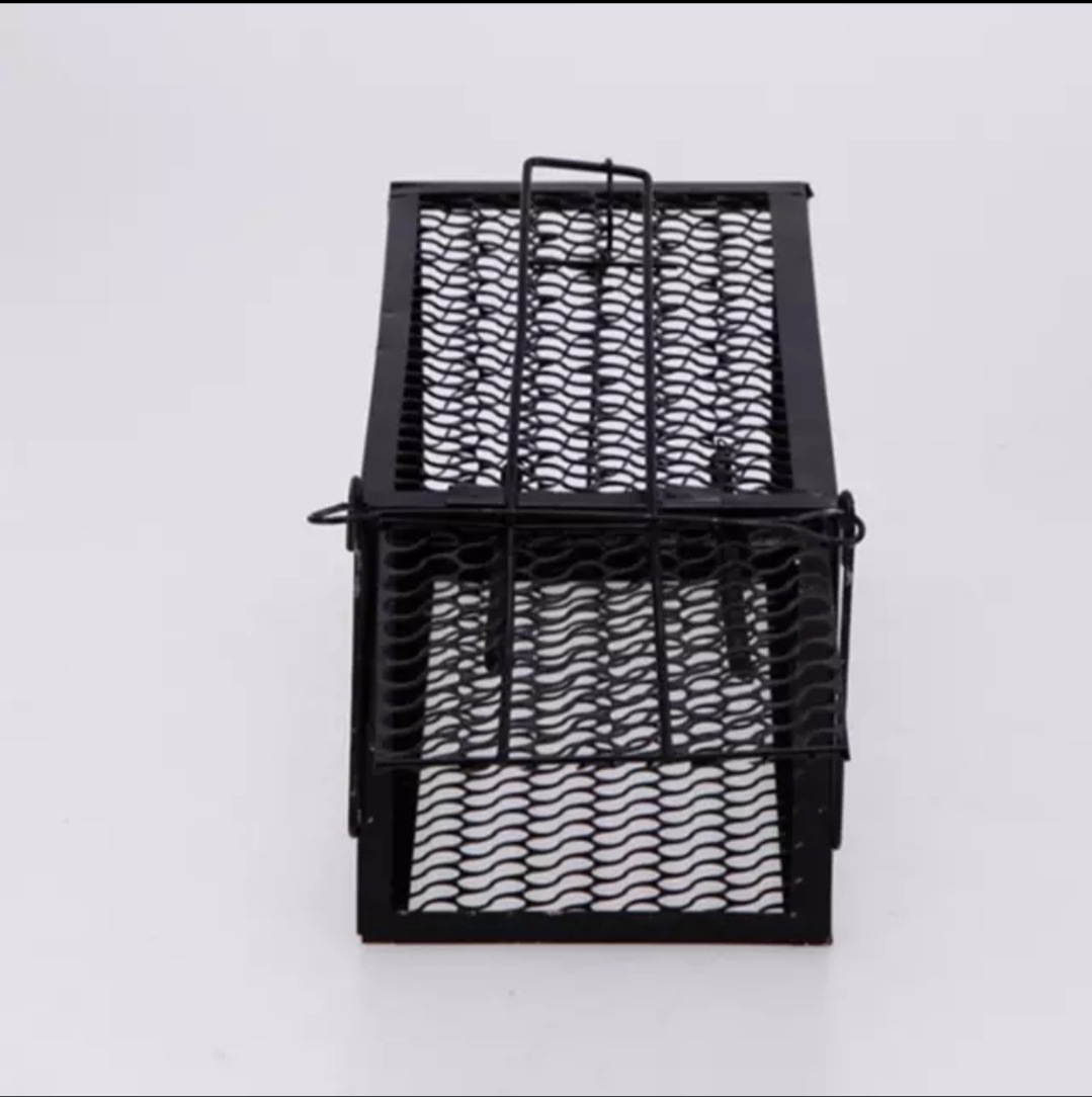 QQ图片20190925110136