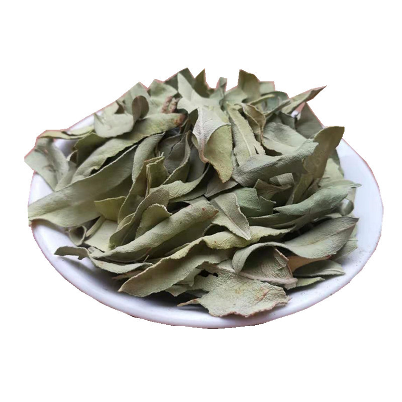 Luo Bu Ma Ye Dried Apocynum Leaves Bulk Loose Leaf Herbal Tea Xinjiang Origin specifications