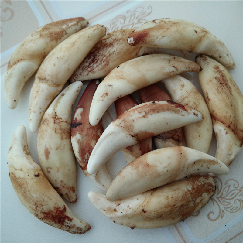 IMG20181201181314_副本