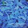 成型各种冲压蓝色泡绵