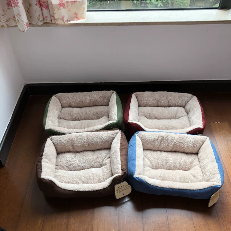 Молочный питомник Питомник домашних животных Питомник маленьких собак Питомник щенков Питомник Чихуахуа Бомеи Тедди