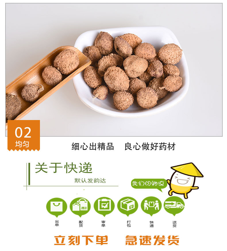 Yang Chun Sha Ren (Amomum villosum) — Dried Shelled Food Herb from Yunnan, 500g quality and texture