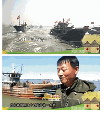 辽宁营口海蜇"滢辉"海蜇推出可以涮锅吃的海蜇规格:2000g/箱