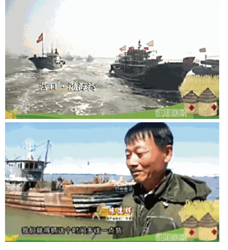 辽宁营口海蜇"滢辉"海蜇推出可以涮锅吃的海蜇规格:2000g/箱