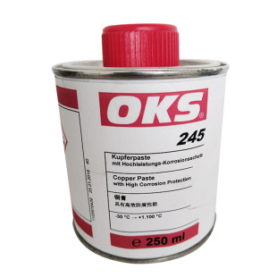 OKS 245�~�͸��ݼy�����������ݼy�B�Ӽ������~����P����֬