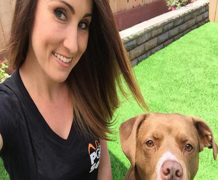 QQ图片20190316103243